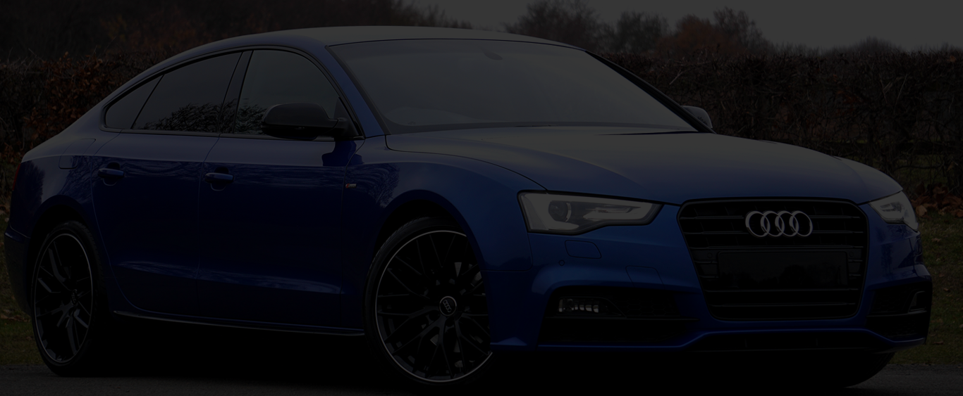 Car rentals that fit your budget